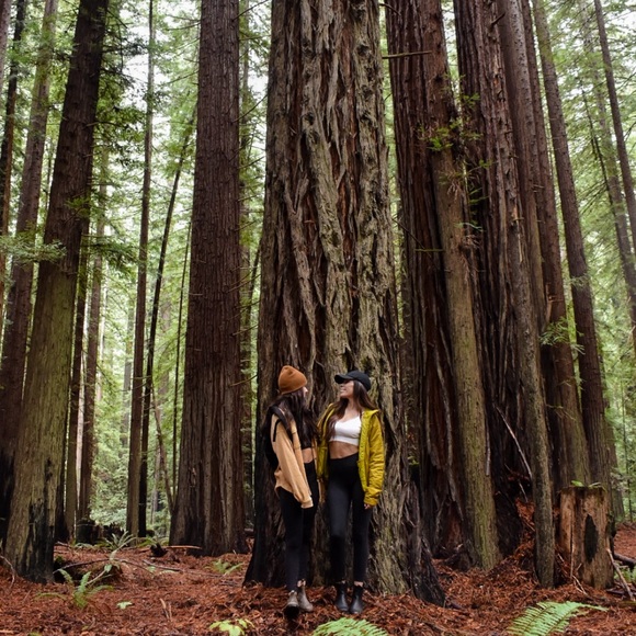 Meet your Posher, Britt - Picture 14 of 16